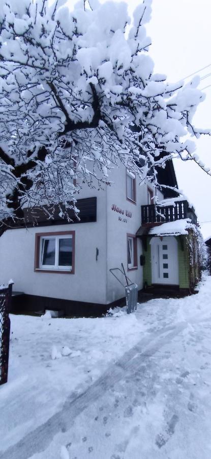 Haus Elli Lejlighed Greifenburg Eksteriør billede